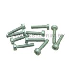 Болт для сборки бензопилы аналог ST Т27 м5X25 (10 шт)