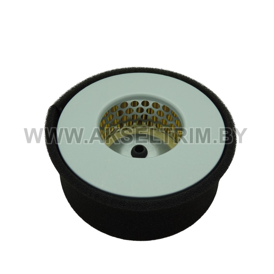 Фильтр воздушный 178 F к дизельному двигателю Фильтр воздушный 178 F к дизельному двигателю