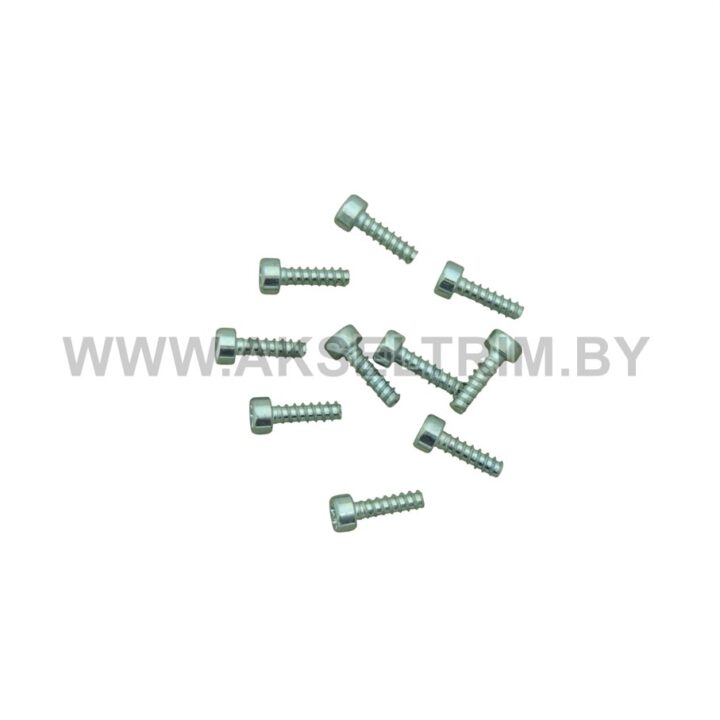 Болт самонарезной для сборки пилы Т27 6X18 (10шт)