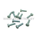 Болт для сборки бензопилы аналог ST Т27 м5X18 (10 шт)
