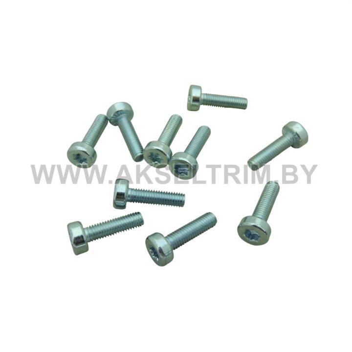 Болт для сборки бензопилы аналог ST Т27 м5X18 (10 шт)